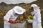 Male and female apiarists working on beehive at field