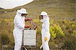 Male and female beekeepers working on beehive at field