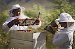 Male and female beekeepers working on honeycomb at apiary