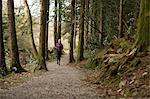 Beautiful woman jogging in forest
