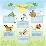 Spring thin line color infographic. Springtime poster.