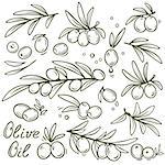 set of graphic hand drawn olive branches with oil drips