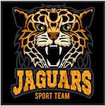 Jaguar, wild cat Panther. Vector illustration on black background.