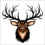 Deer Head. Vector Illustration of Deer Head. Isolated on white.