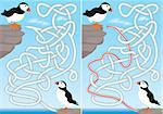 Puffin maze for kids with a solution