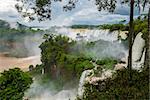 iguazu falls national park. tropical waterfalls and rainforest landscape