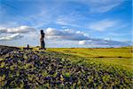 Moai statue, ahu akapu, easter island, Chile
