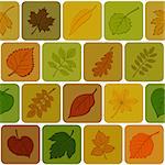 Seamless Background with Autumn Pictogram Leaves of Various Plants, Trees and Shrubs in Squares, Abstract Nature Pattern. Eps10, Contains Transparencies. Vector