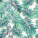 Tropical pattern with exotic plants.Seamless tropical pattern with green phoenix palm leaves. Vector illustration.