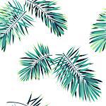 Tropical pattern with exotic plants. Seamless tropical pattern with green phoenix palm leaves. Vector illustration.