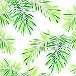 Bright tropical background with jungle plants. Seamless vector exotic pattern with green phoenix palm leaves. Vector illustration.