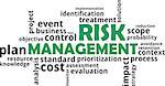 A word cloud of risk management related items