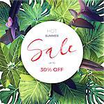 Summer tropical sale design with palm leaves and exotic plants. Jungle floral template, vector illustration.