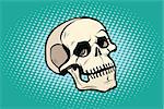 human skull head skeleton. Pop art retro vector illustration