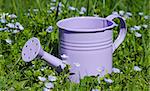Little Purple decorative watering can for watering flowers or pots