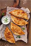 Traditional russian and caucasian pies - meat chebureks fried in oil.