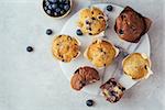 Homemade muffins with blueberries. Top view. Grey stone background. Copy space.