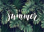 Summer tropical calligraphy design with exotic dark green palm leaves on the background. Vector illustration.