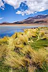 Altiplano laguna in sud Lipez reserva Eduardo Avaroa, Bolivia