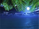 3D render of palm tree fronds looking out to a night time ocean