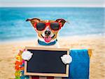 jack russel dog resting and relaxing on a hammock or beach chair under umbrella at the beach ocean shore, on summer vacation holidays holding a banner or placard