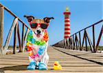 jack russel dog  at the beach ocean shore, on summer vacation holidays  with a plastic duck, lighthouse at the back