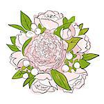 Bouquet of peonies, sketch for your design, vector illustration