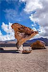 Arbol de Piedra in Siloli desert, sud Lipez reserva Eduardo Avaroa, Bolivia