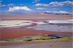 Laguna Honda in sud Lipez Altiplano reserva Eduardo Avaroa, Bolivia