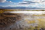 Lake in sol de manana geothermal field, sud Lipez reserva Eduardo Avaroa, Bolivia