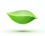 Vector illustration of eco concept icon with glossy green leaf. May be used in ecological, medical, chemical, food and oil design.