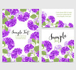 Set vector illustration of hydrangea flower Background with purple flowers. Cards invitations