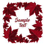 Vector illustration of maple leaves. Frame with red leaf on white background