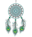 Vector illustration of a dreamcatcher with a peacock feathers on a white background