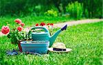 Home gardening and flower-growing still-life of flower in pot with watering can garden tools on green grass.