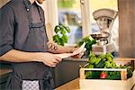 Chef checking delivery note for vegetables