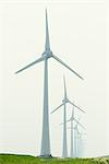 Row of wind turbines in field dyke landscape