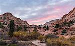 Scenic view, Zion National Park, Springdale, Utah, USA