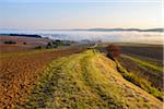 Countryside with pathway and morning mist over the fields in the community of Grossheubach in Bavaria, Germany