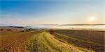 Countryside with pathway and morning mist over the fields at sunrise in the community of Grossheubach in Bavaria, Germany