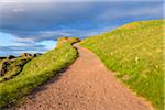 Coastal path on hillside in the late afternoon light at North Berwick in Scotland, United Kingdom