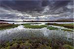 Moor landscape with lake and grassy patches and dark storm clouds at Rannoch Moor in Scotland, United Kingdom