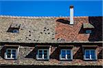 Pigeons perched on the brick rooftops of the traditional buildings at Petite France in Strasbourg, France