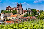 Vinyards and St Stephen's Cathedral on the hilltop at Breisach in Baden-Wurttemberg, Germany