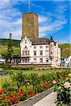 Gardens and Vinyards of the Boosenburg Castle at Rudesheim in the Rhine Valley in Germany