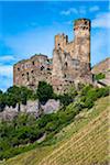 Ehrenfels Castle Ruin along the Rhine between Rudesheim and Koblenz, Germany