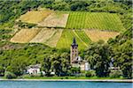 The village of Wellmich with St Martin Church along the Rhine between Rudesheim and Koblenz, Germany
