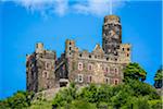 Maus (Mouse) Castle along the Rhine between Rudesheim and Koblenz, Germany