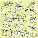 set of isolated graphic olive branches with fruit and oil drops