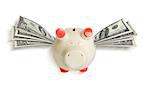 A white piggy bank with wings of paper dollars. The piggy bank is flying. Isolated on white background